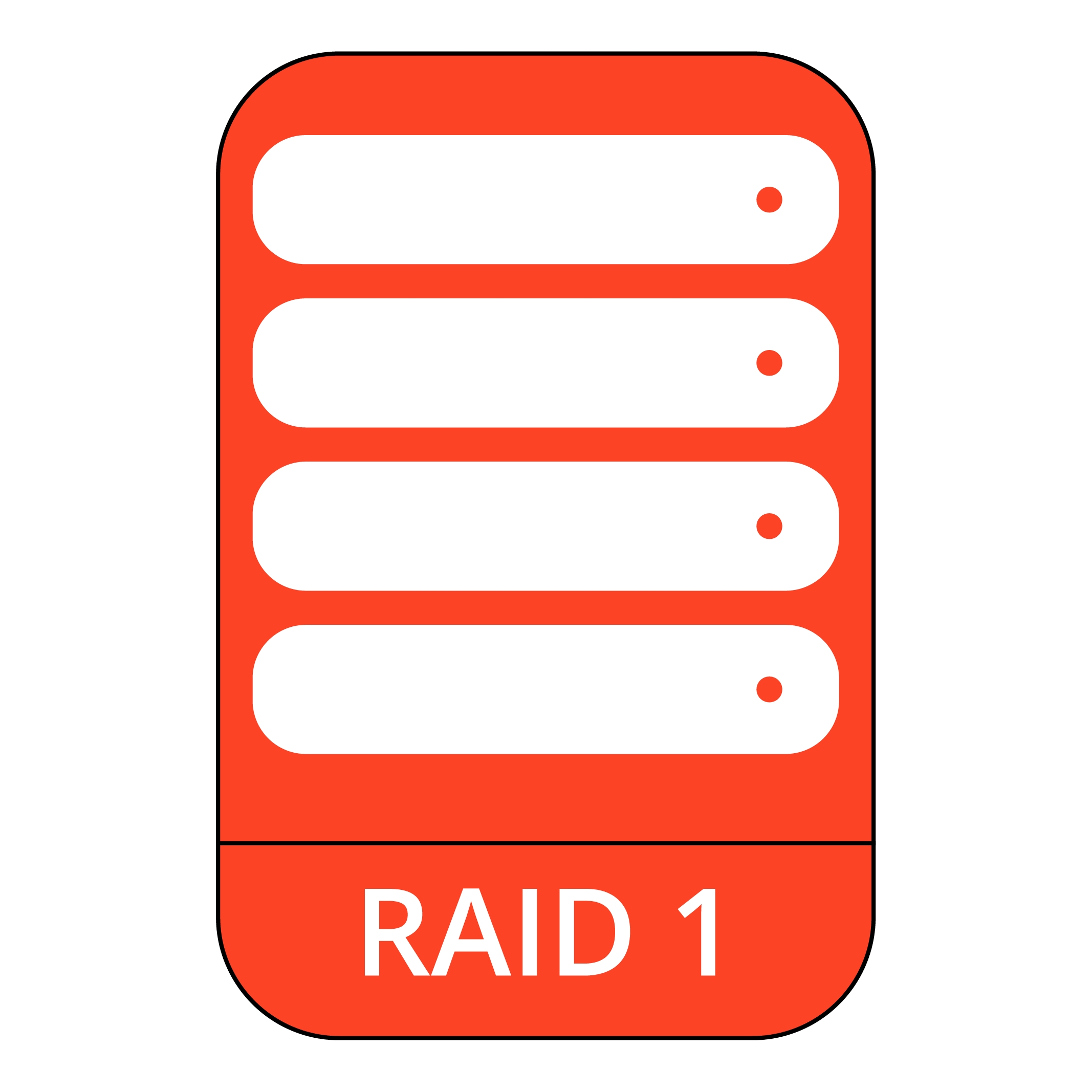 RAID 1 Data Recovery