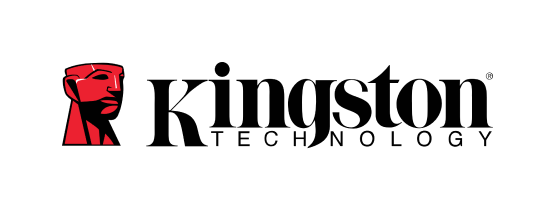 Kingston Data Recovery