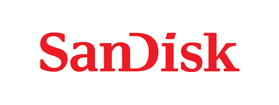 SanDisk Data Recovery